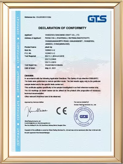 Certificate 7